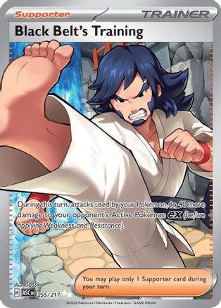 Image of Black Belt's Training (255/217) [Mega Evolution: Ascended Heroes]