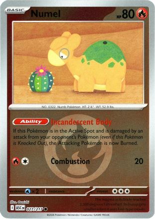 Image of Numel (027/217) (Energy Symbol Pattern) [Mega Evolution: Ascended Heroes]