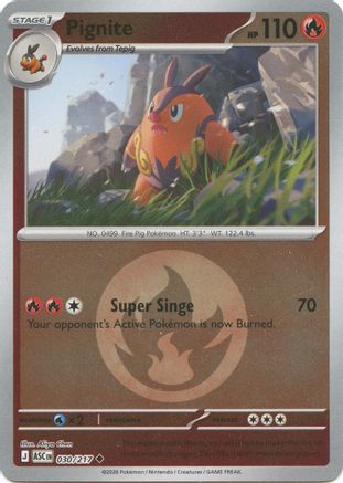 Image of Pignite (030/217) (Energy Symbol Pattern) [Mega Evolution: Ascended Heroes]