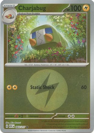 Image of Charjabug (065/217) (Energy Symbol Pattern) [Mega Evolution: Ascended Heroes]