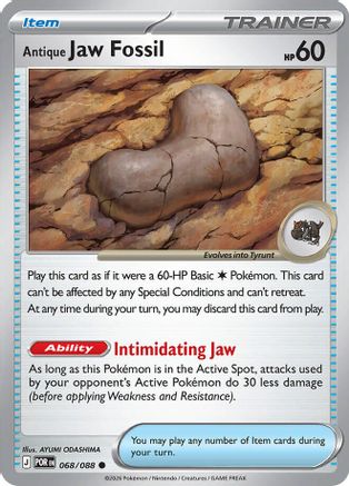 Image of Antique Jaw Fossil 068  ME03 Perfect Order - Common