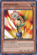 Amarylease [BP02-EN120] Common