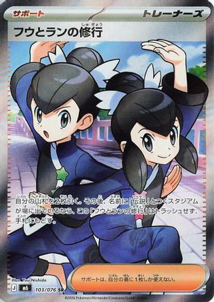 Image of Tate & Liza's Training - 103/076 (103/076) - M6 Storm Emeralda Holofoil