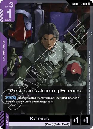 Image of Veterans Joining Forces (GD06-117) - Stardust Trails