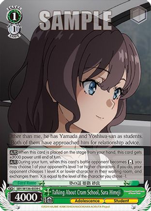 Image of Talking About Cram School, Sara Himeji (SBY/W136-E039) - Rascal Does Not Dream of Santa Claus