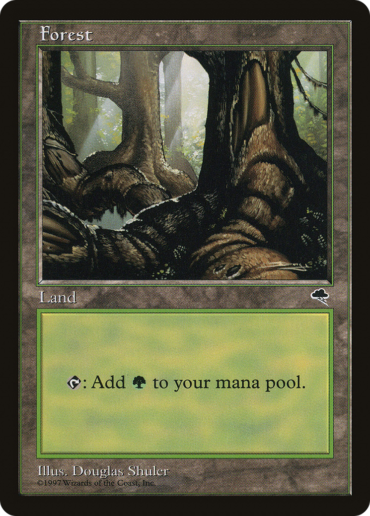 Image of Forest (Large Roots) [Tempest]