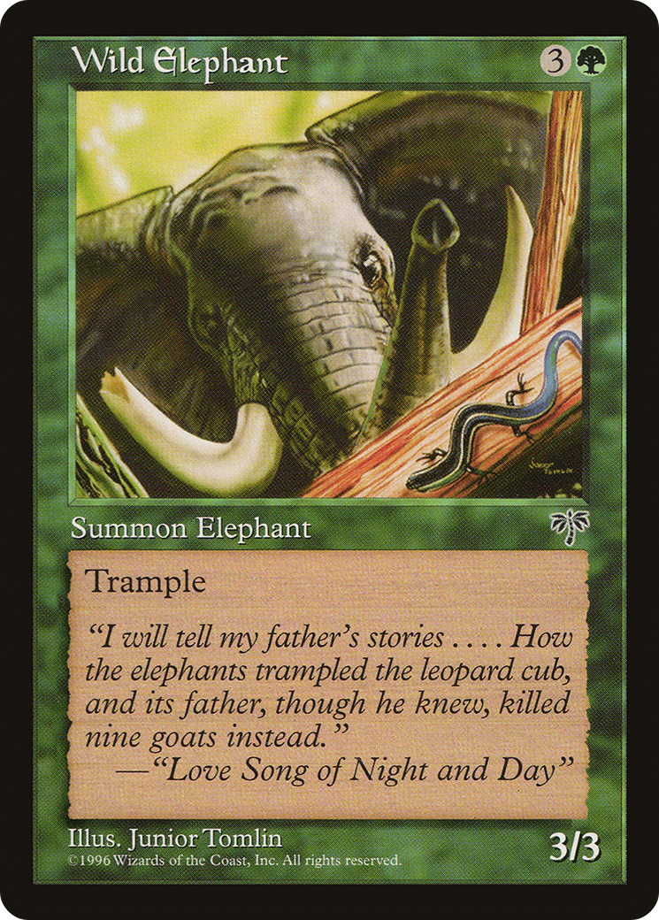 Image of Wild Elephant [Mirage]
