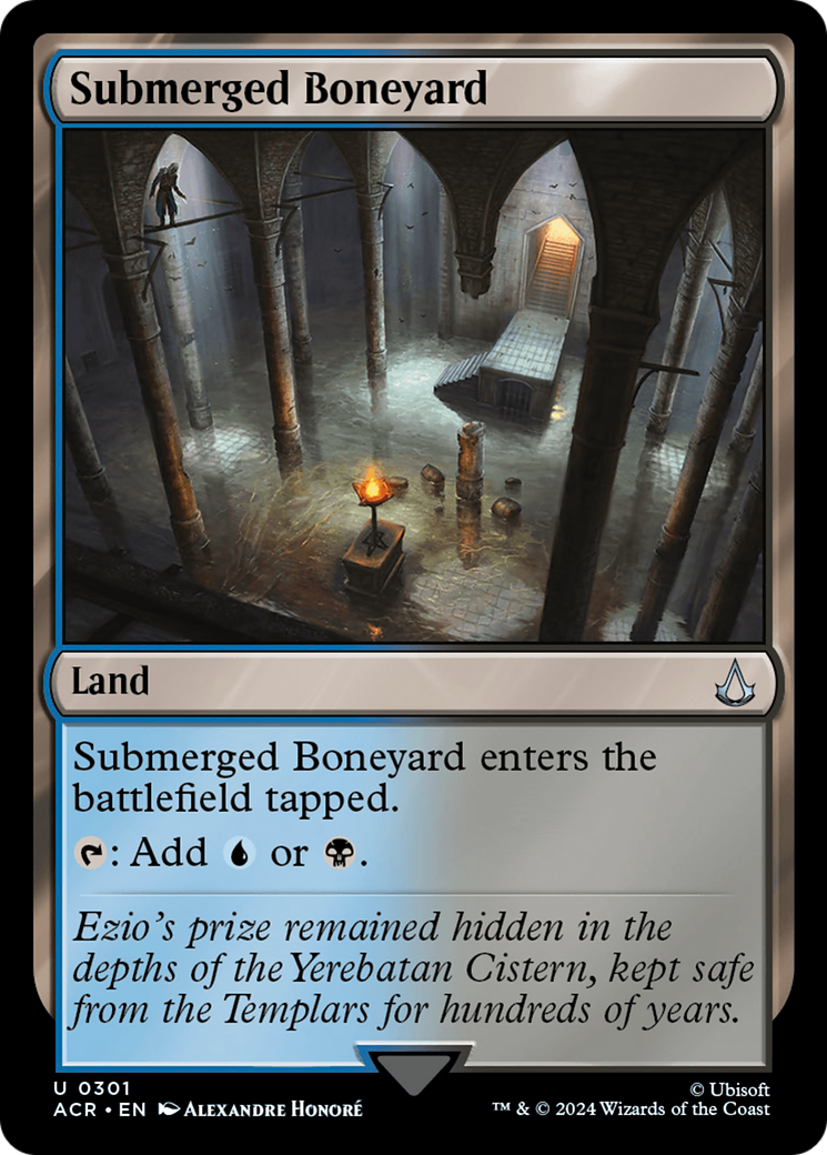 Image of Submerged Boneyard [Assassin's Creed]