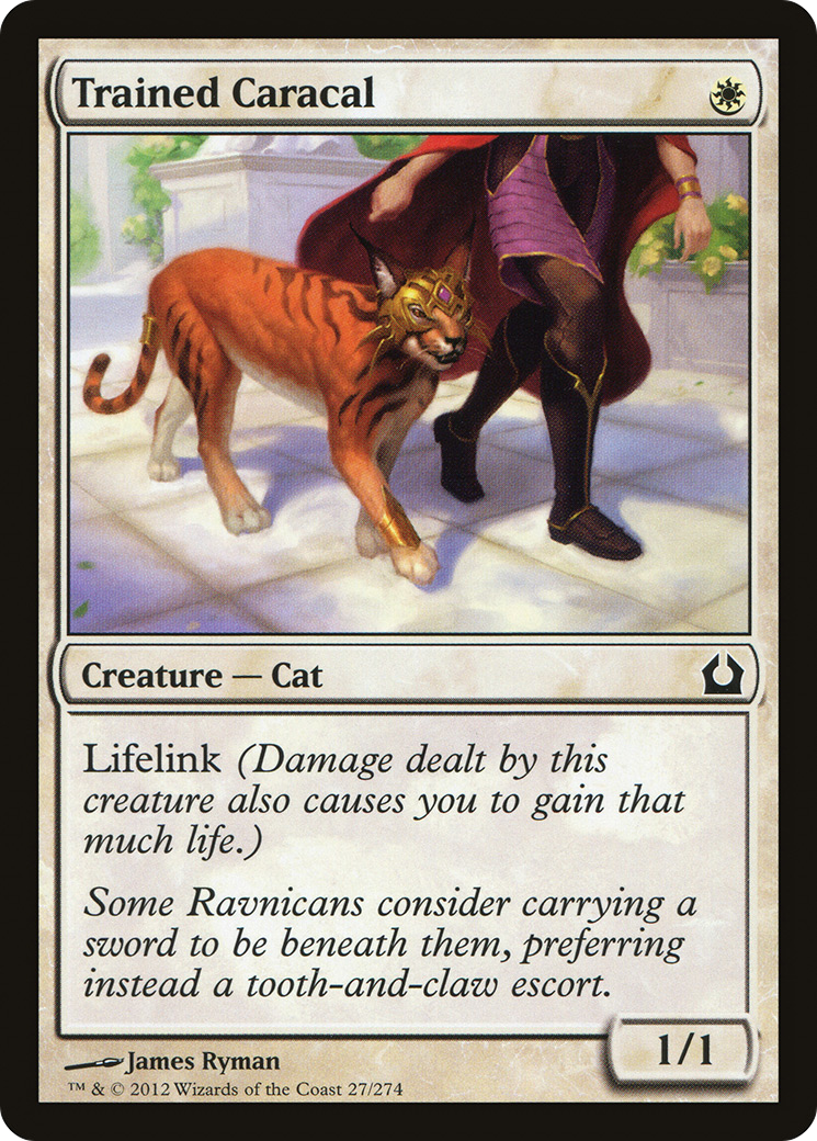 Image of Trained Caracal [Return to Ravnica]