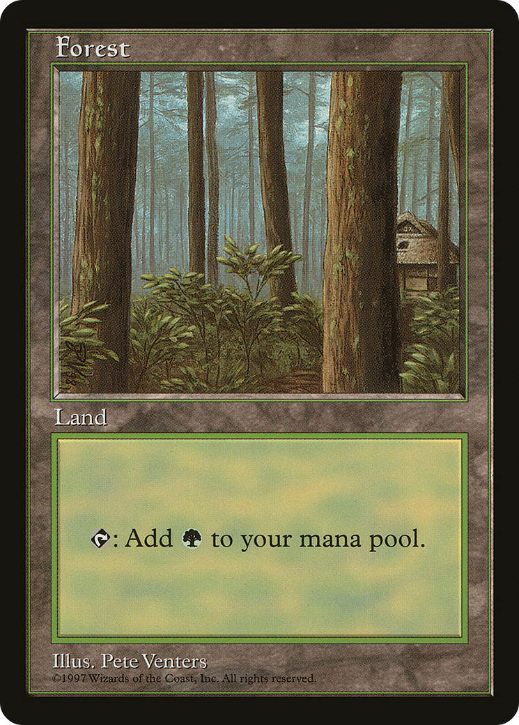 Image of Forest (1) [Asia Pacific Land Program]