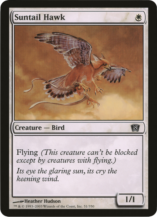 Image of Suntail Hawk (Oversized) [Eighth Edition Box Topper]