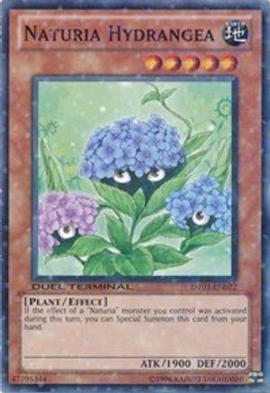 Image of Naturia Hydrangea [DT03-EN072] Common