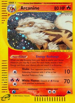 Image of Arcanine (H2/H32) [Skyridge]