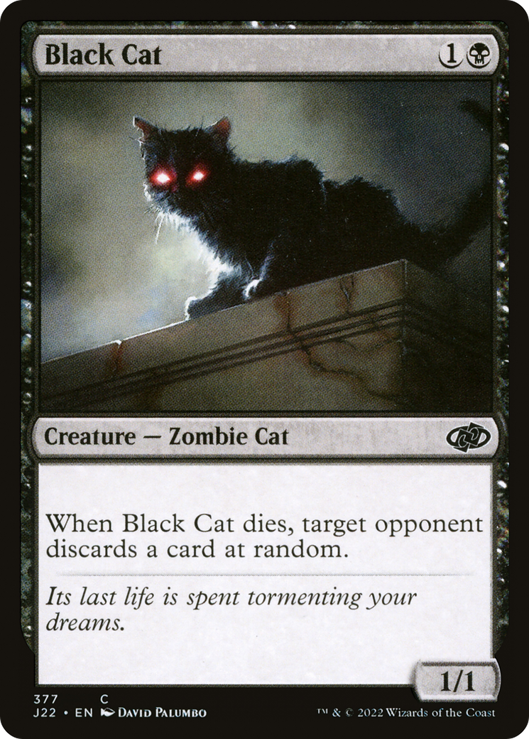 Image of Black Cat [Jumpstart 2022]