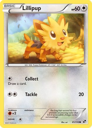 Image of Lillipup (81/114) [Black & White: Base Set]