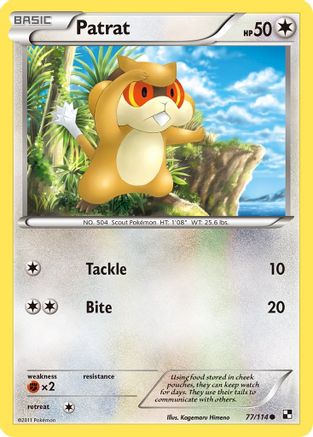 Image of Patrat (77/114) [Black & White: Base Set]