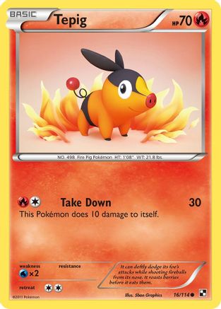Image of Tepig (16/114) [Black & White: Base Set]