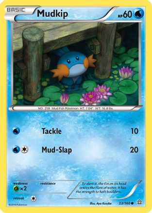 Image of Mudkip (33/160) [XY: Primal Clash]
