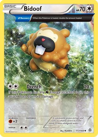 Image of Bidoof (117/160) [XY: Primal Clash]