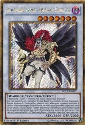 Image of Blackwing Tamer - Obsidian Hawk Joe [PGL2-EN012] Gold Secret Rare