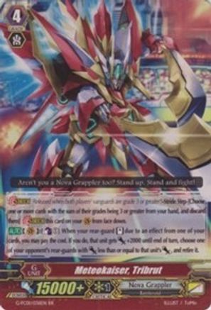 Meteokaiser, Tribrut (FIGHTER'S COLLECTION 2015)