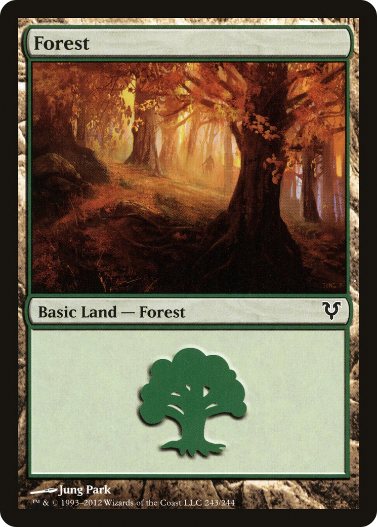 Image of Forest (243) [Avacyn Restored]