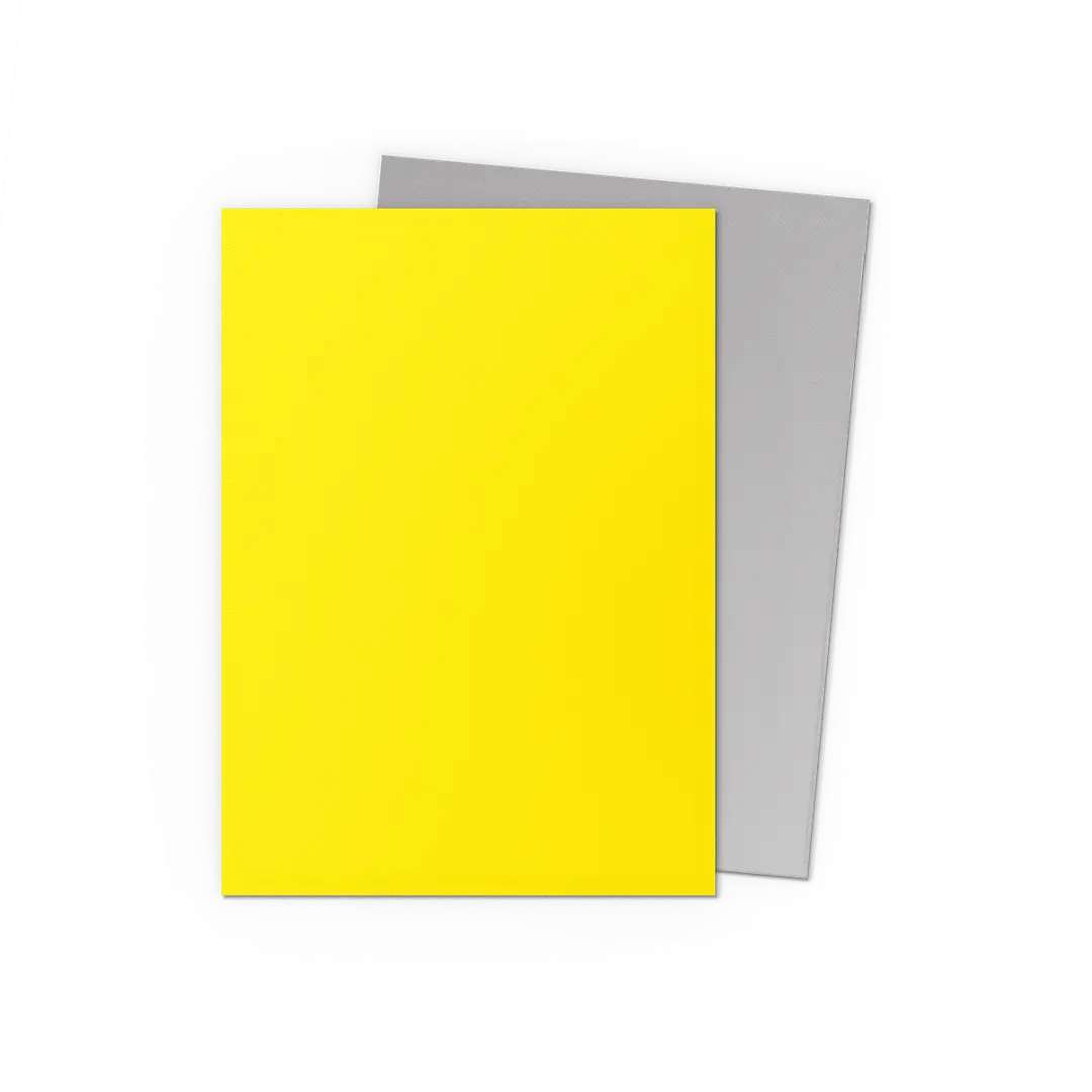 Image of Dragon Shield Sleeves Dual Matte Yellow & Silver 100 ct (Copy)
