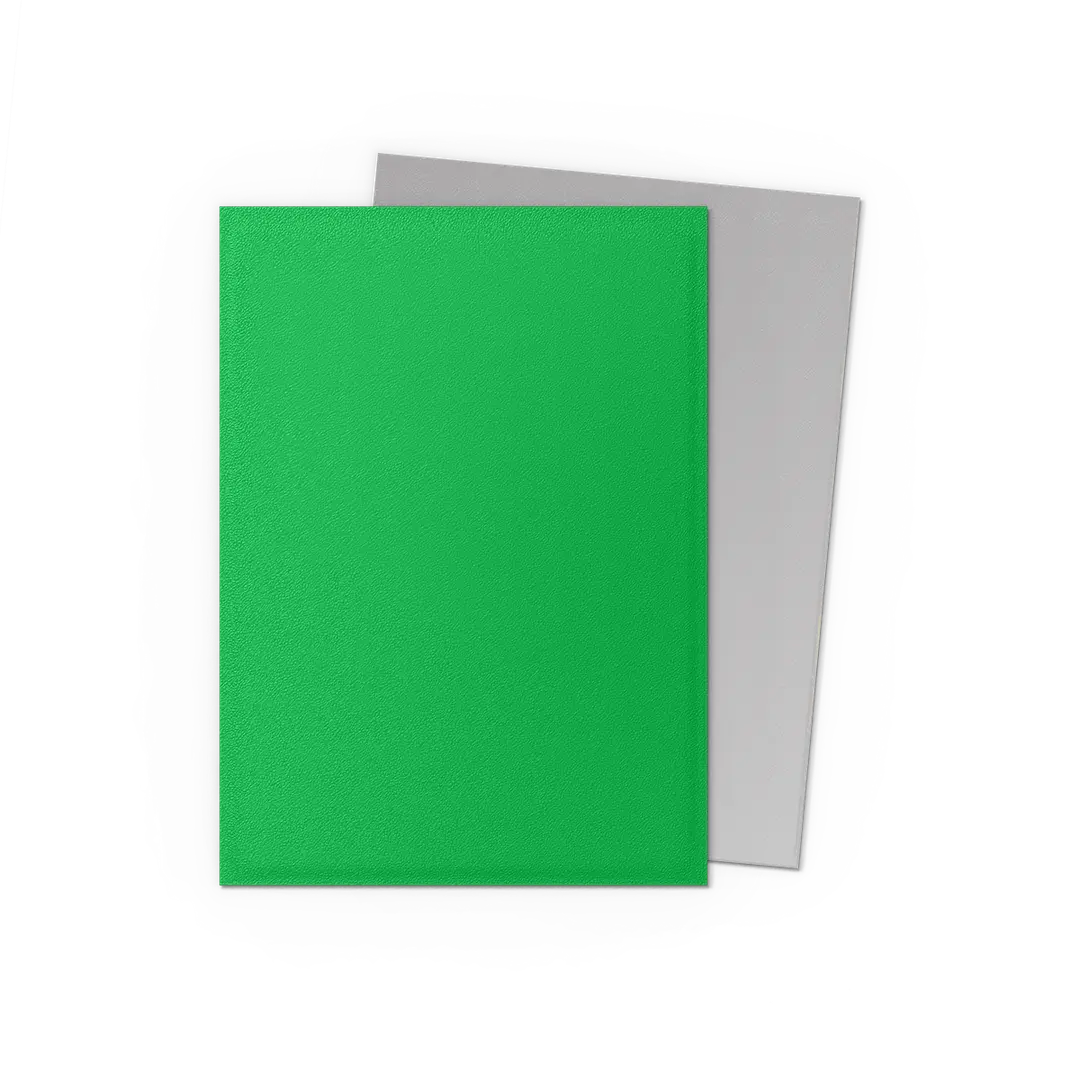 Image of Dragon Shield Sleeves Dual Matte Apple Green & Silver 100 ct