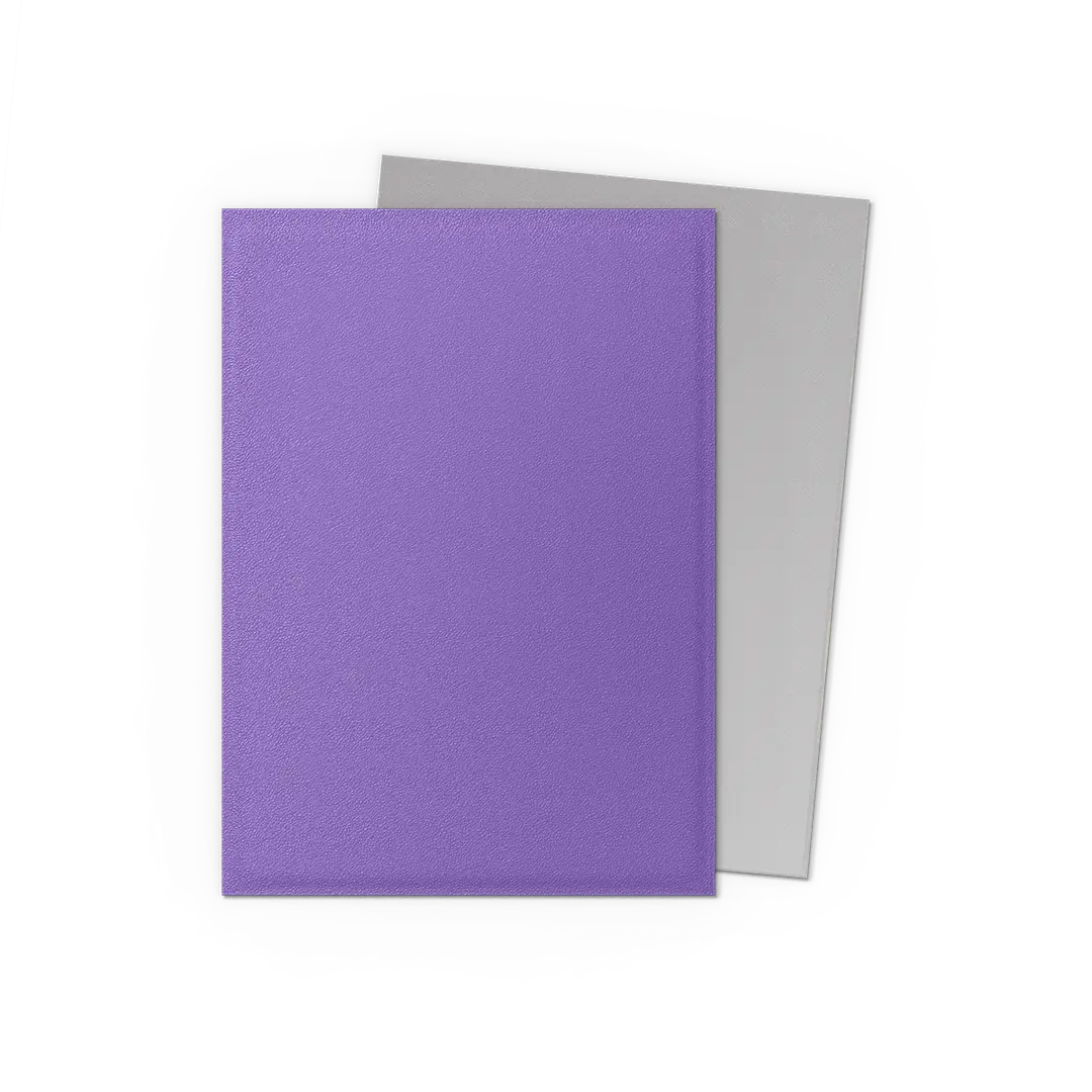 Image of Dragon Shield Sleeves Dual Matte Nebula & Silver 100 ct