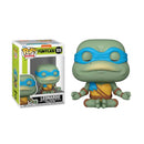 Leonardo Meditating (Teenage Mutant Ninja Turtles)