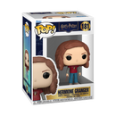 Hermione Granger (Harry Potter)