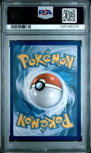 FA/ZEKROM (XY BLACK STAR PROMOS)