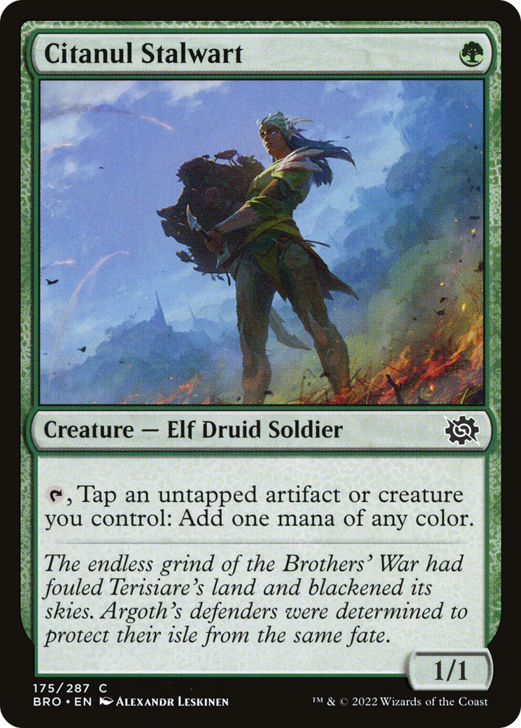 Image of Citanul Stalwart [The Brothers' War]