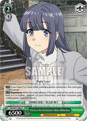 Image of Arrival at the Destination! Shoko Makinohara [Rascal Does Not Dream of a Dreaming Girl]