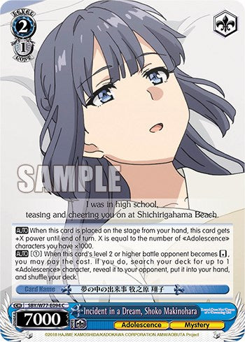 Image of Incident in a Dream, Shoko Makinohara [Rascal Does Not Dream of a Dreaming Girl]