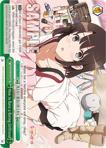 Image of How to Raise a Boring Girlfriend [Saekano: How to Raise a Boring Girlfriend]