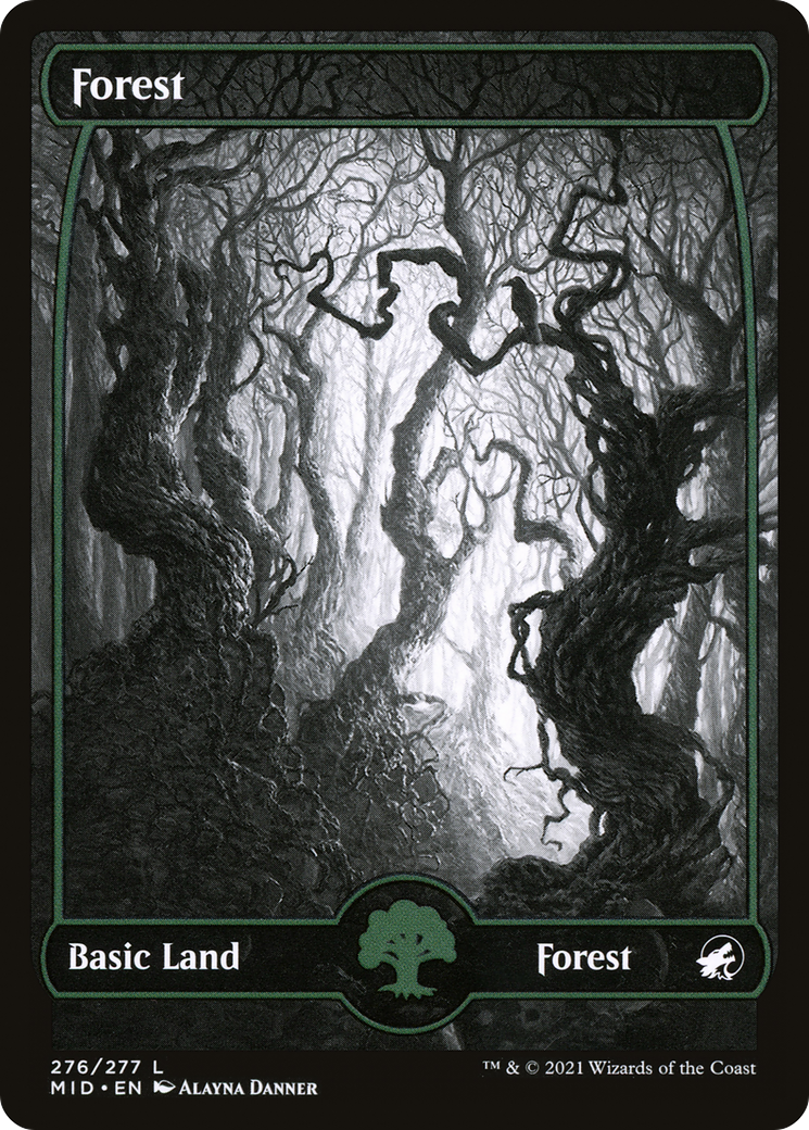 Image of Forest (276) [Innistrad: Midnight Hunt]