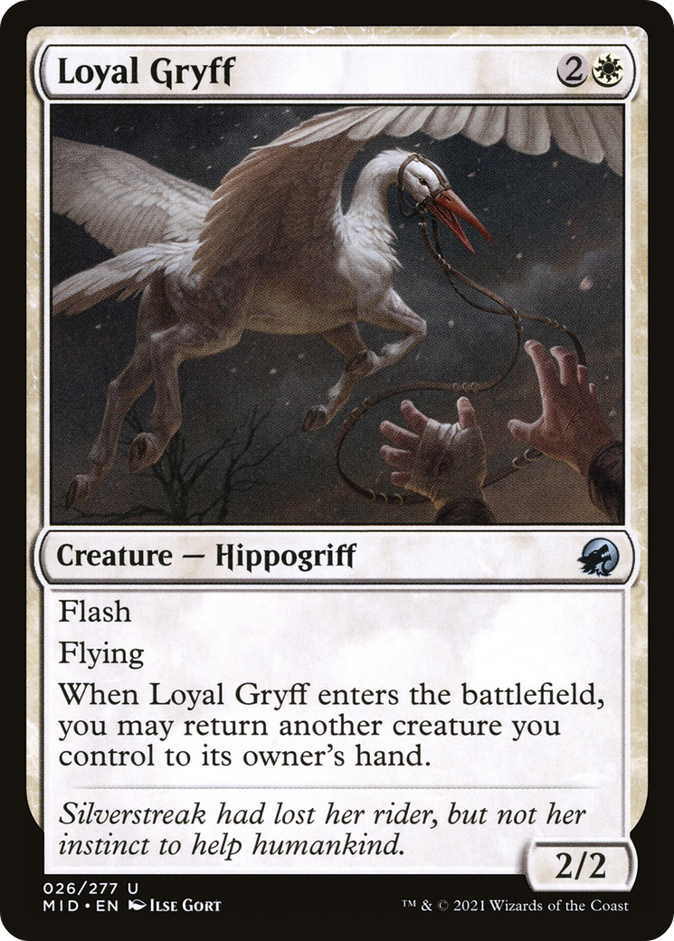 Image of Loyal Gryff [Innistrad: Midnight Hunt]