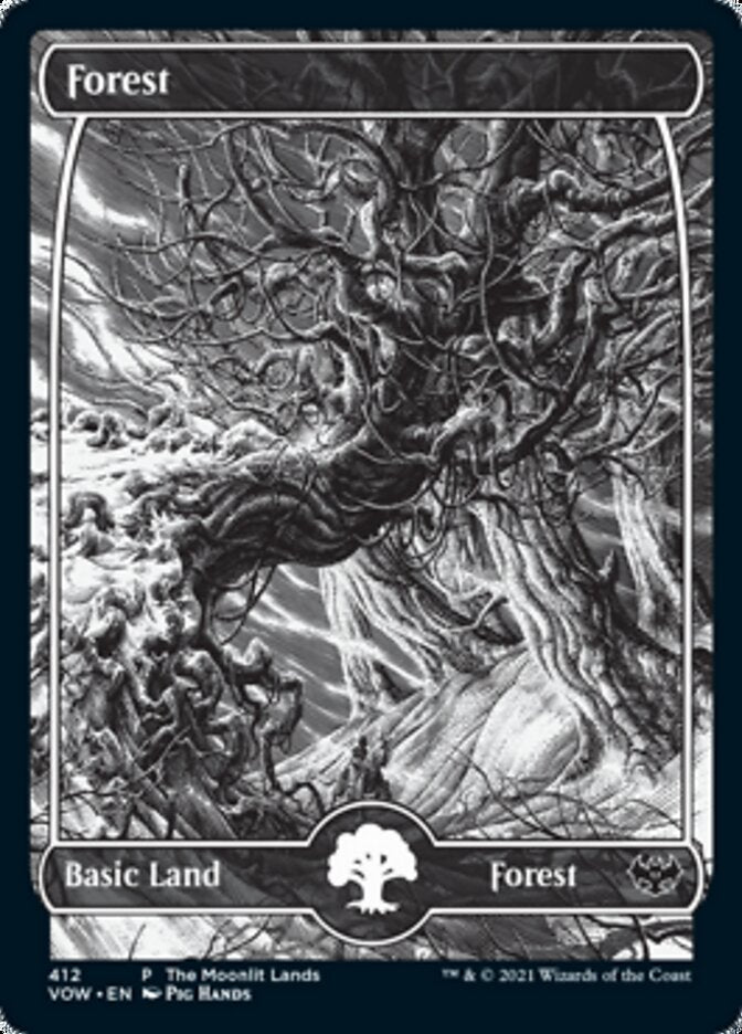Image of Forest (The Moonlit Lands) (Foil Etched) [Innistrad: Crimson Vow Promos]