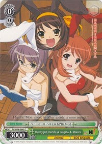 Image of Bunnygirl, Haruhi & Nagato & Mikuru (SY/W08-E041 C) [The Melancholy of Haruhi Suzumiya]