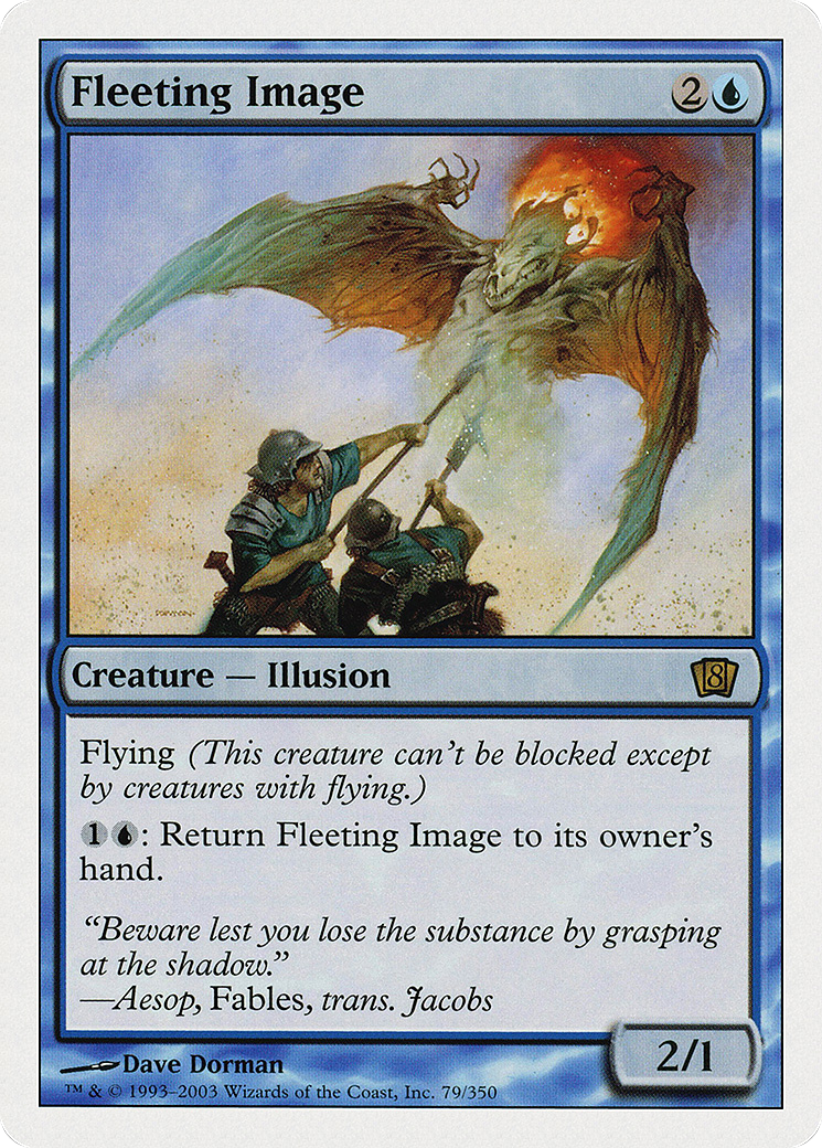 Image of Fleeting Image [Eighth Edition]