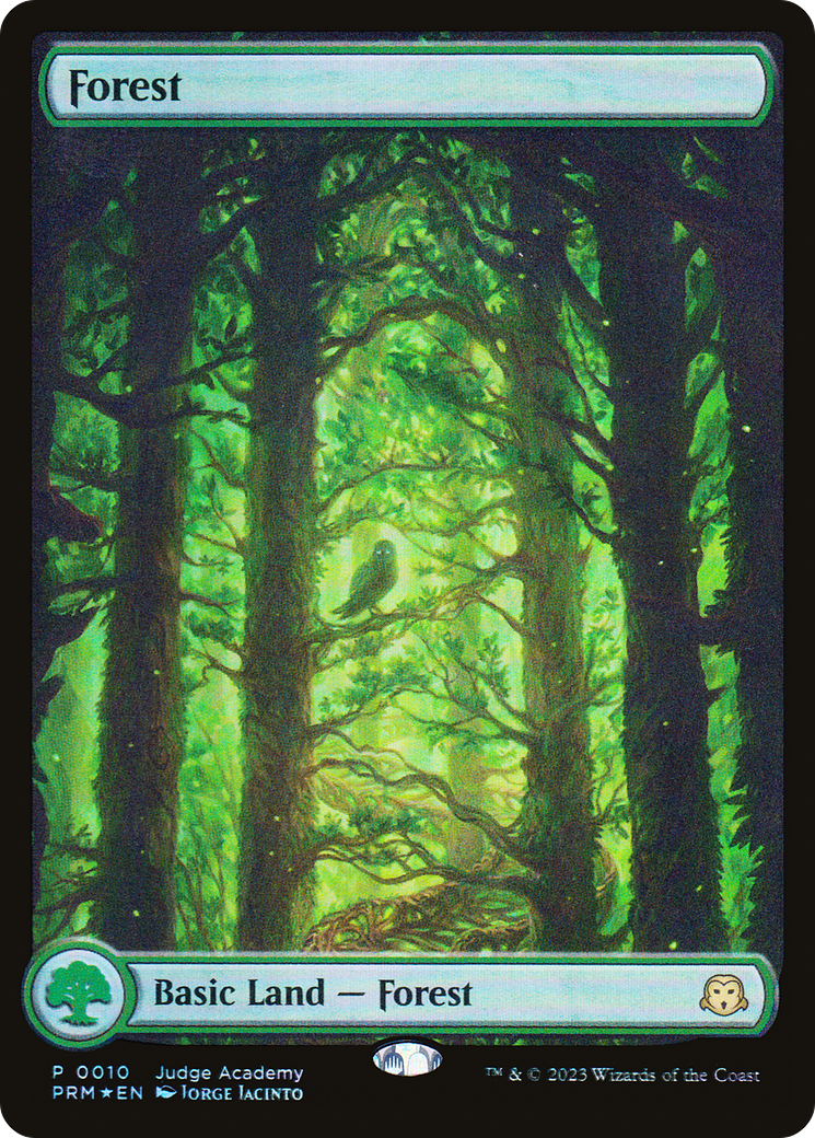 Image of Forest [Judge Gift Cards 2023]