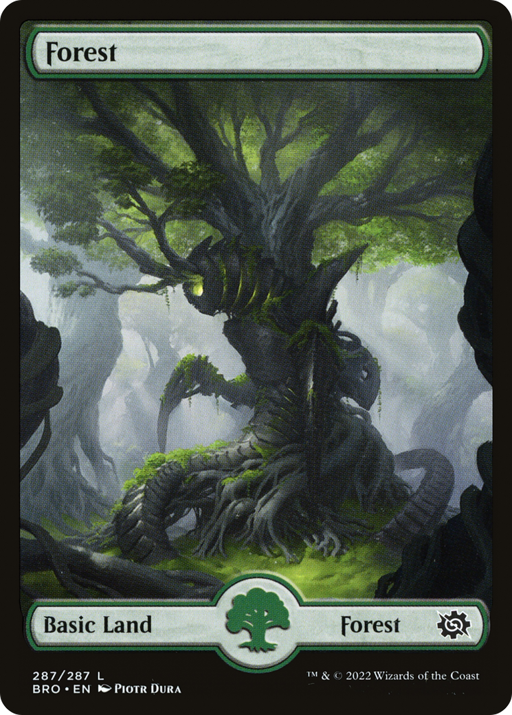 Image of Forest (287) [The Brothers' War]