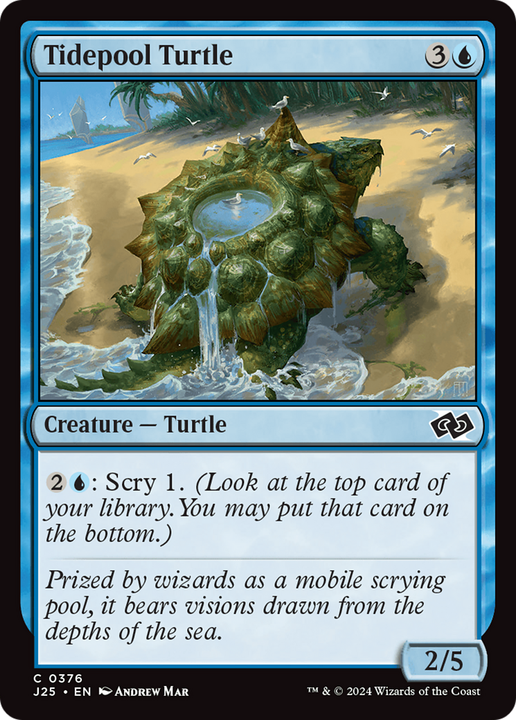 Image of Tidepool Turtle [Foundations Jumpstart]