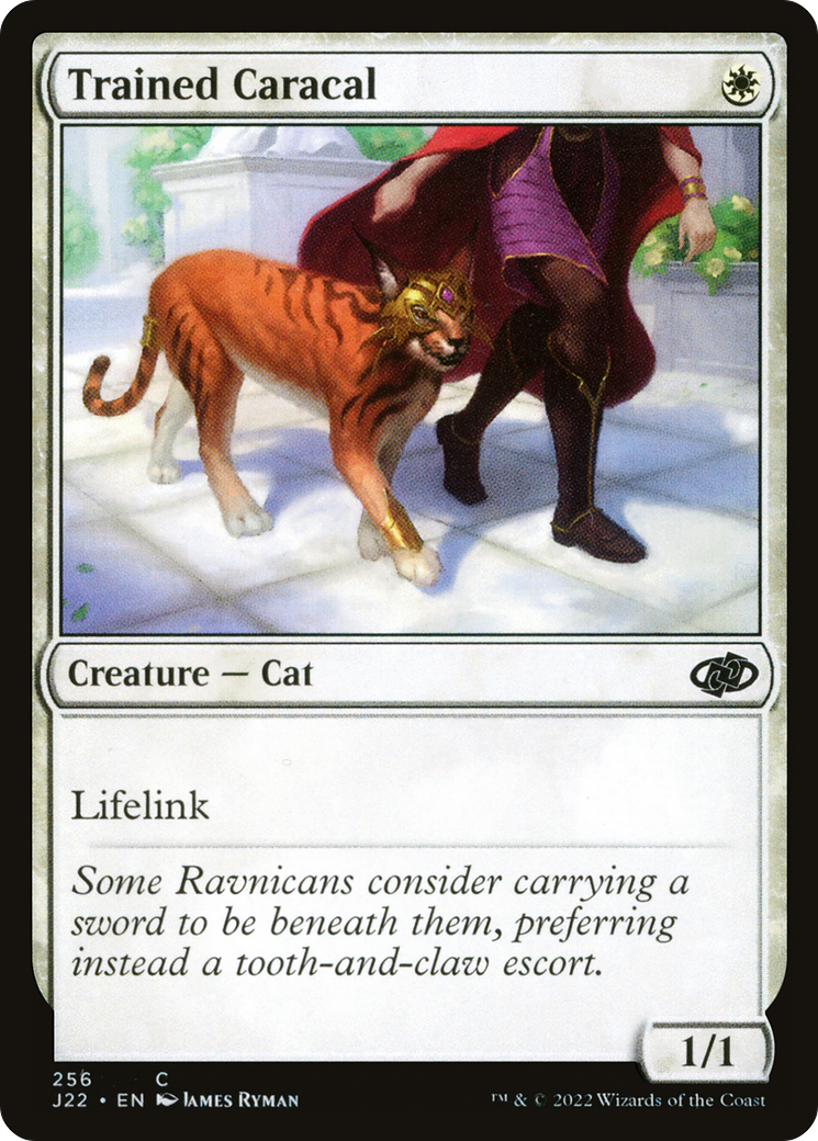 Image of Trained Caracal [Jumpstart 2022]