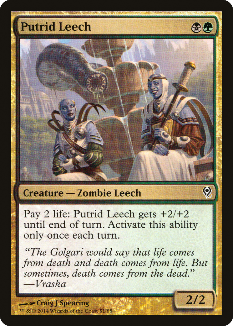 Image of Putrid Leech [Duel Decks: Jace vs. Vraska]