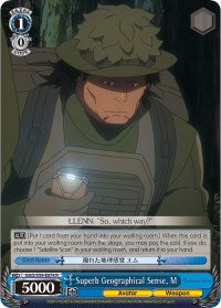 Image of Superb Geographical Sense, M (GGO/S59-E074 R) [Gun Gale Online]