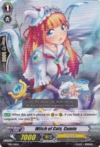 Image of Witch of Cats, Cumin (TD13/011EN) [Trial Deck 13: Successor of the Sacred Regalia]