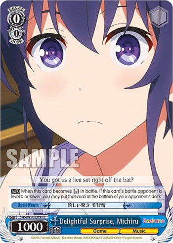 Image of Delightful Surprise, Michiru [Saekano: How to Raise a Boring Girlfriend]
