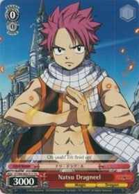 Image of Natsu Dragneel (FT/EN-S02-T11 TD) [Fairy Tail ver.E]